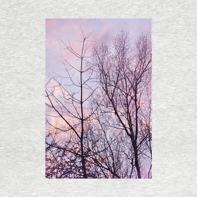 Barren trees ~ evening sky by LaurieMinor